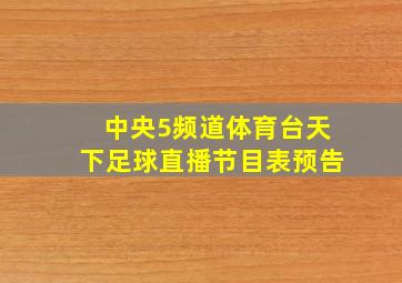 中央5频道体育台天下足球直播节目表预告