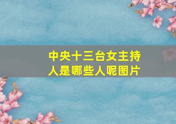 中央十三台女主持人是哪些人呢图片