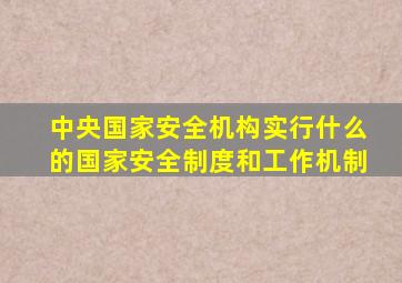 中央国家安全机构实行什么的国家安全制度和工作机制