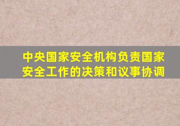 中央国家安全机构负责国家安全工作的决策和议事协调