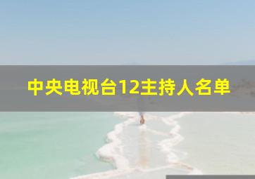 中央电视台12主持人名单