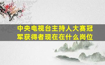 中央电视台主持人大赛冠军获得者现在在什么岗位