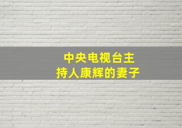 中央电视台主持人康辉的妻子