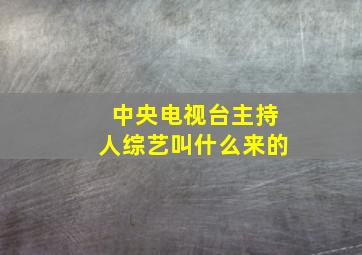 中央电视台主持人综艺叫什么来的