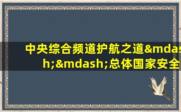 中央综合频道护航之道——总体国家安全观纵横