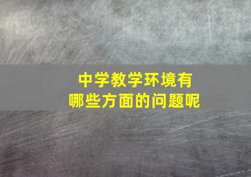 中学教学环境有哪些方面的问题呢