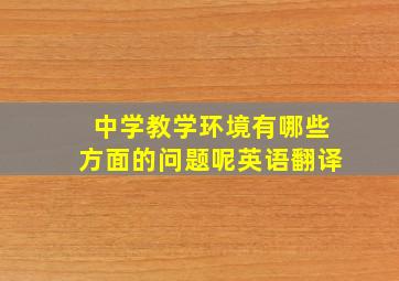 中学教学环境有哪些方面的问题呢英语翻译