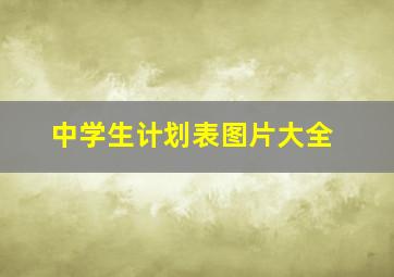 中学生计划表图片大全