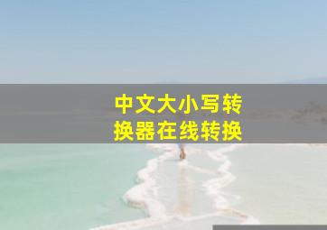 中文大小写转换器在线转换