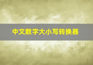 中文数字大小写转换器