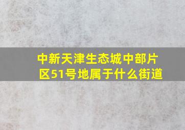 中新天津生态城中部片区51号地属于什么街道