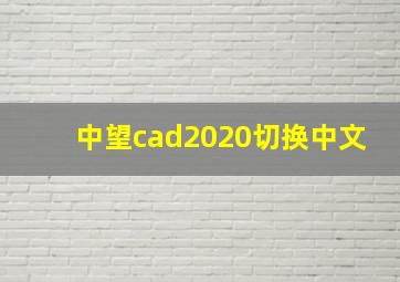 中望cad2020切换中文