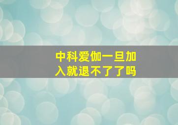 中科爱伽一旦加入就退不了了吗