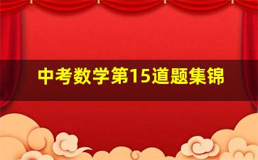 中考数学第15道题集锦