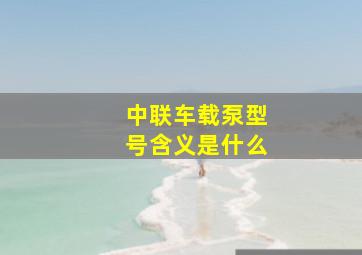 中联车载泵型号含义是什么