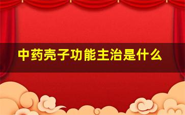 中药壳子功能主治是什么