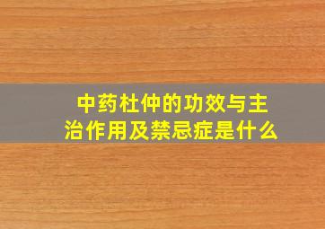 中药杜仲的功效与主治作用及禁忌症是什么