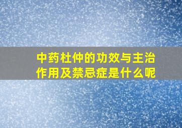 中药杜仲的功效与主治作用及禁忌症是什么呢