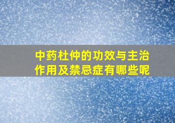 中药杜仲的功效与主治作用及禁忌症有哪些呢