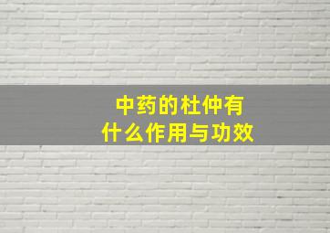 中药的杜仲有什么作用与功效