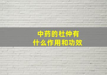 中药的杜仲有什么作用和功效