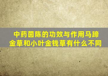 中药茵陈的功效与作用马蹄金草和小叶金钱草有什么不同