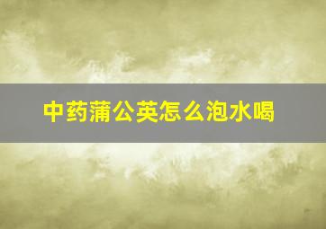 中药蒲公英怎么泡水喝