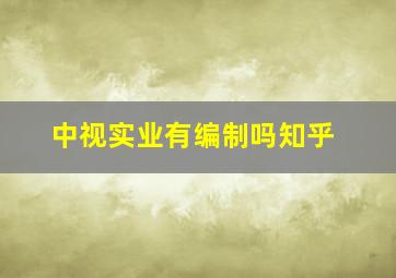 中视实业有编制吗知乎