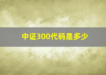 中证300代码是多少