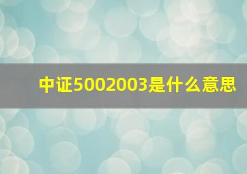 中证5002003是什么意思