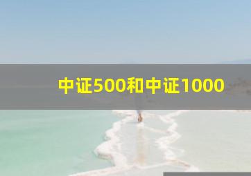 中证500和中证1000