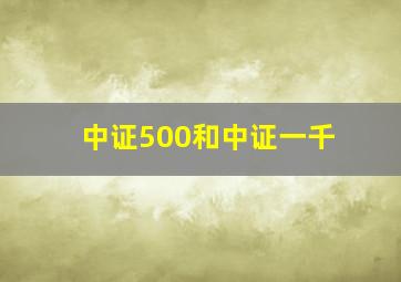 中证500和中证一千