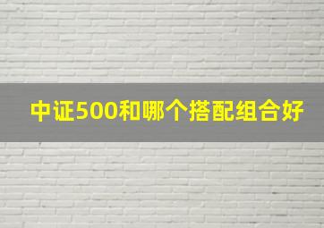 中证500和哪个搭配组合好