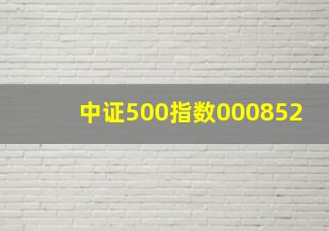 中证500指数000852