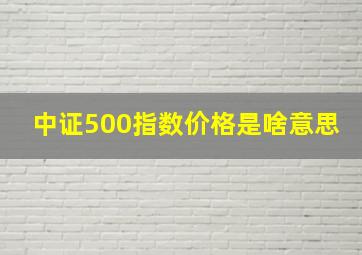 中证500指数价格是啥意思