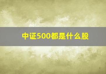 中证500都是什么股