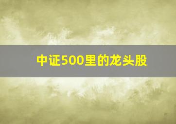 中证500里的龙头股