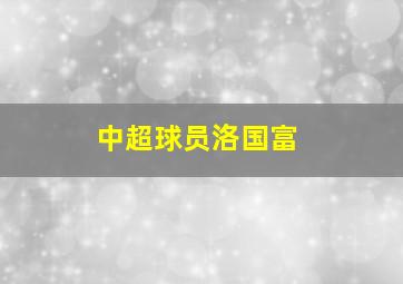 中超球员洛国富