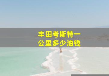 丰田考斯特一公里多少油钱