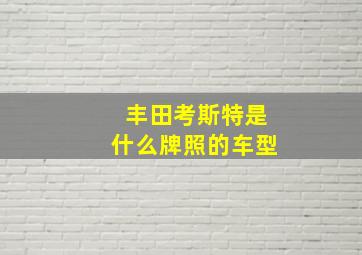 丰田考斯特是什么牌照的车型