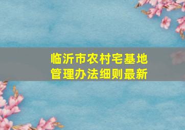 临沂市农村宅基地管理办法细则最新