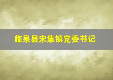 临泉县宋集镇党委书记