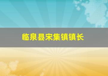 临泉县宋集镇镇长