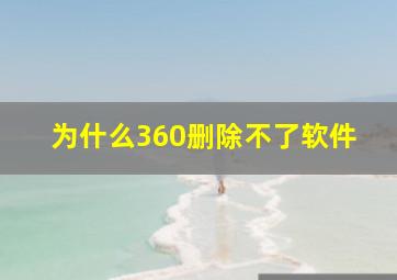 为什么360删除不了软件