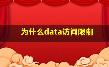 为什么data访问限制