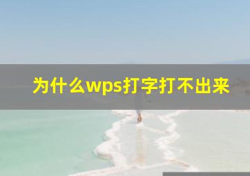 为什么wps打字打不出来