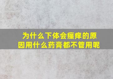 为什么下体会瘙痒的原因用什么药膏都不管用呢