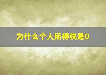 为什么个人所得税是0