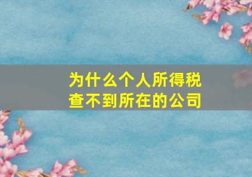 为什么个人所得税查不到所在的公司