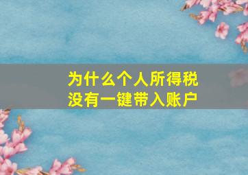 为什么个人所得税没有一键带入账户